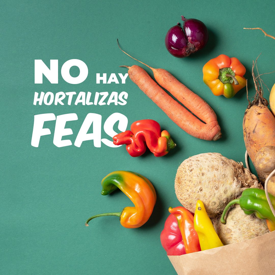 grupoviveplus's tweet photo. Solemos comprar con los ojos y por eso rechazamos mucha comida fresca y sana que simplemente no cumple los estándares estéticos. 

Al comprar frutas y hortalizas suelen primar criterios estéticos que no reflejan su calidad real. Lo "feo" es amenudo más sostenible y más sano. https://t.co/se3VBZDK1r