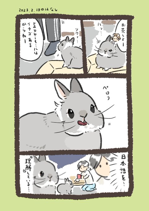 ひとの言葉のわかるrabbit…

#うさぎのいる生活 