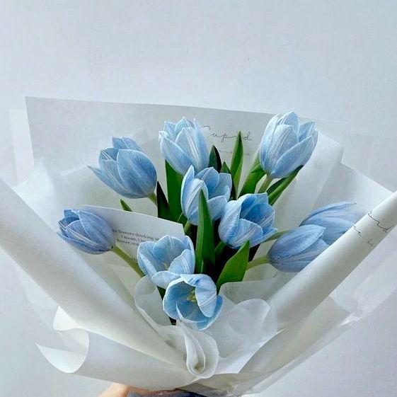 CafeEngene's tweet photo. to :: @hsldreamy 
from :: anon 

Hi, thank you for being my friend here in stan twt, even though we are not very close, take care and don't forget to eat every day. Happy Valentine’s Day ! ♥️💐 https://t.co/gA5Ajjvw0U