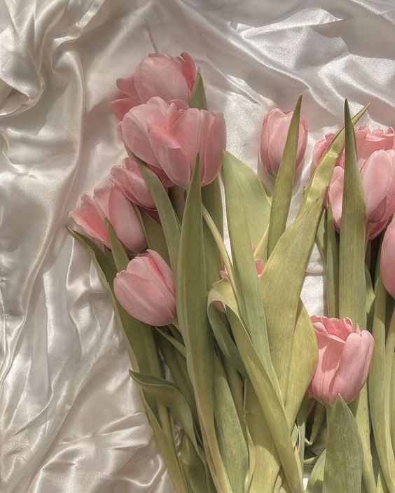 CafeEngene's tweet photo. to :: @kreideluxe 
from :: anon 

happy valentine's day love ! sorry late hehehe i love you https://t.co/NoeyU5TLf2