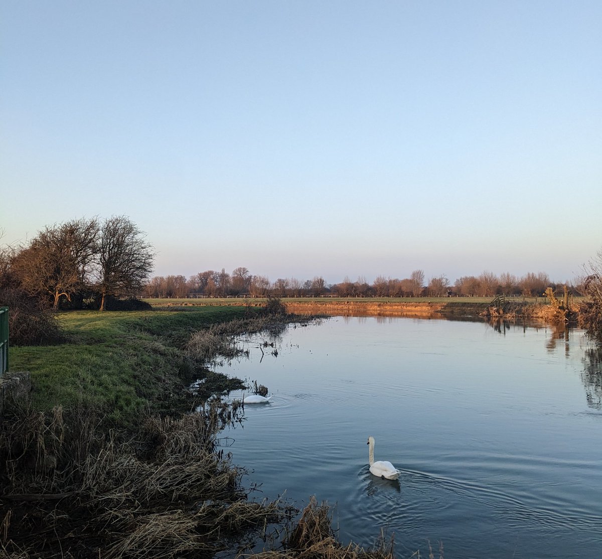 lizjedwards's tweet image. The #CleanItUp campaign run by @thetimes is demanding faster action to improve the country’s waterways and hasn't come a moment too soon. Shout out to whoever put up this blue plaque by a lovely stretch of Thames at Radcot
thetimes.co.uk/article/0c1e0c…