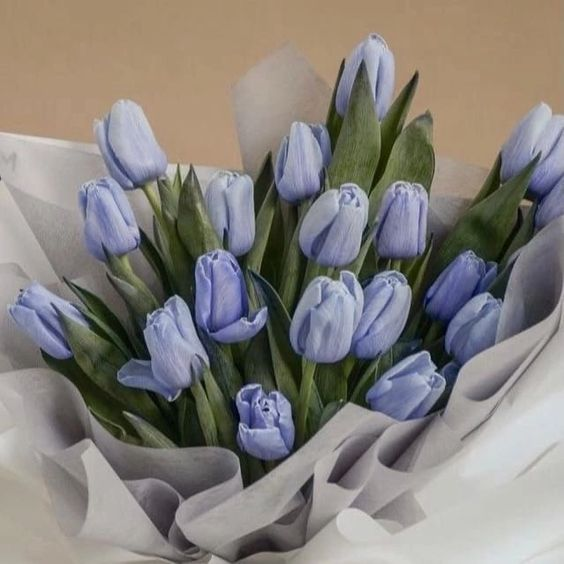 CafeEngene's tweet photo. to :: @hsldreamy 
from :: anon 

Hi! happy valentine’s day. pls take care of yourself, don’t forget to eat and thank u for being my friend here sa stan kahit hindi tayo masyado close. :p https://t.co/Gu085rQWDO