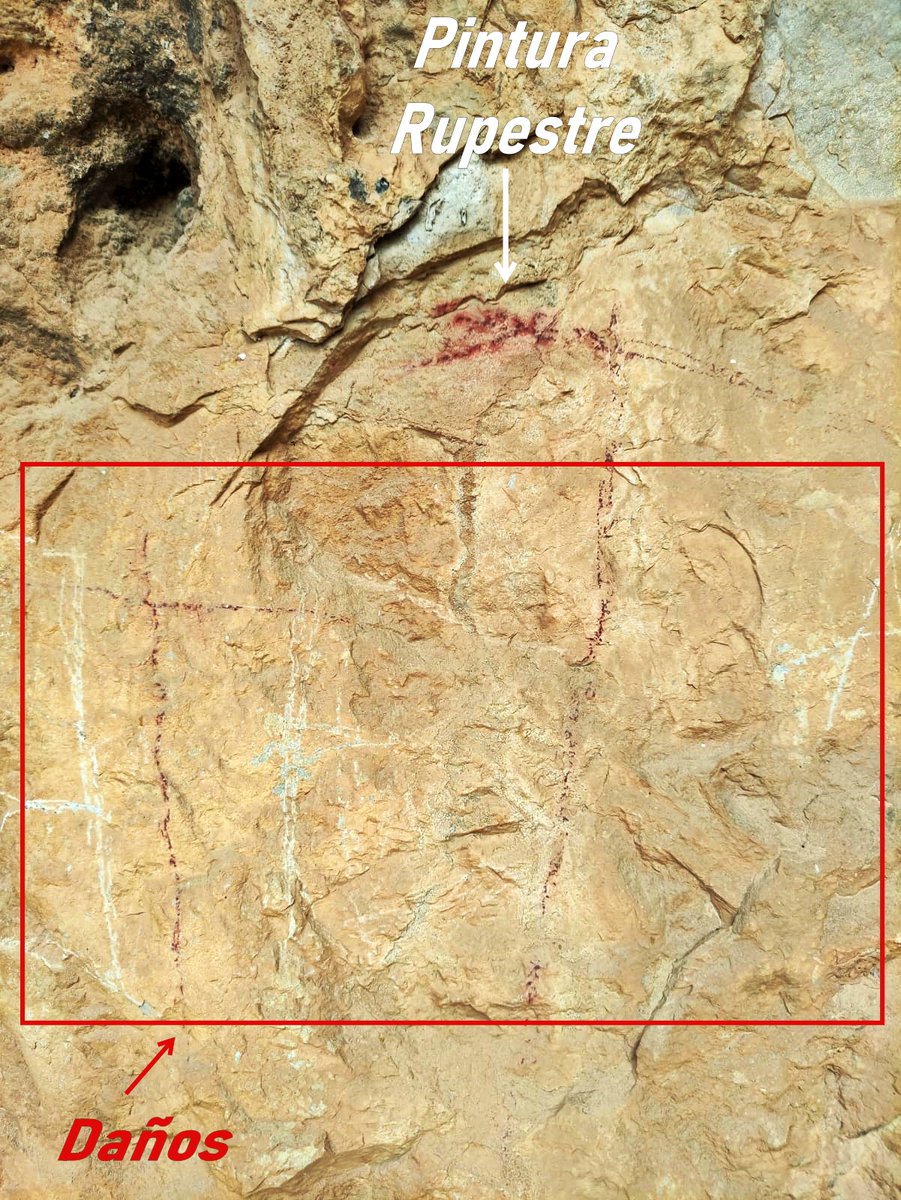 AAMM_And's tweet photo. Quienes hacen #escalada sin respetar las pinturas rupestres, la nidificación de especies protegidas o la flora hacen un flaco favor a la montaña.
Y lo de dejar un "𝒎𝒆𝒏𝒔𝒂𝒋𝒊𝒕𝒐" no tiene nombre.

Estas cosas tambien se las encuentra desgraciadamente los Agentes de la #UVCA https://t.co/vRUmlX58F8