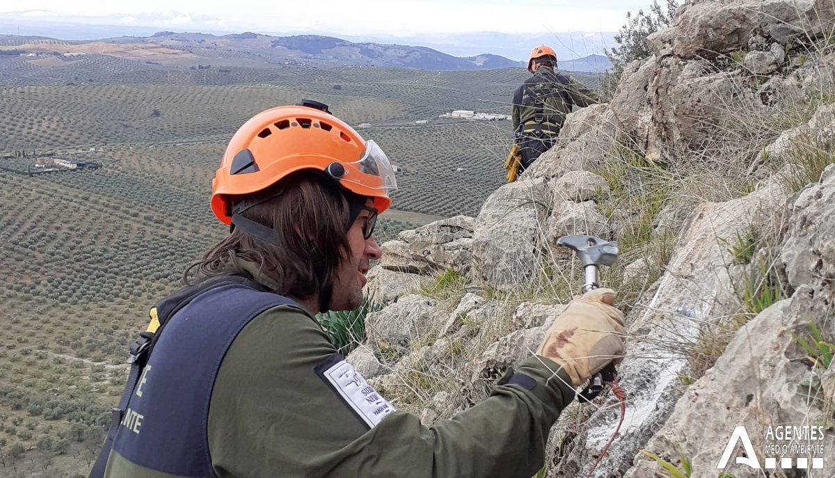 AAMM_And's tweet photo. Quienes hacen #escalada sin respetar las pinturas rupestres, la nidificación de especies protegidas o la flora hacen un flaco favor a la montaña.
Y lo de dejar un "𝒎𝒆𝒏𝒔𝒂𝒋𝒊𝒕𝒐" no tiene nombre.

Estas cosas tambien se las encuentra desgraciadamente los Agentes de la #UVCA https://t.co/vRUmlX58F8