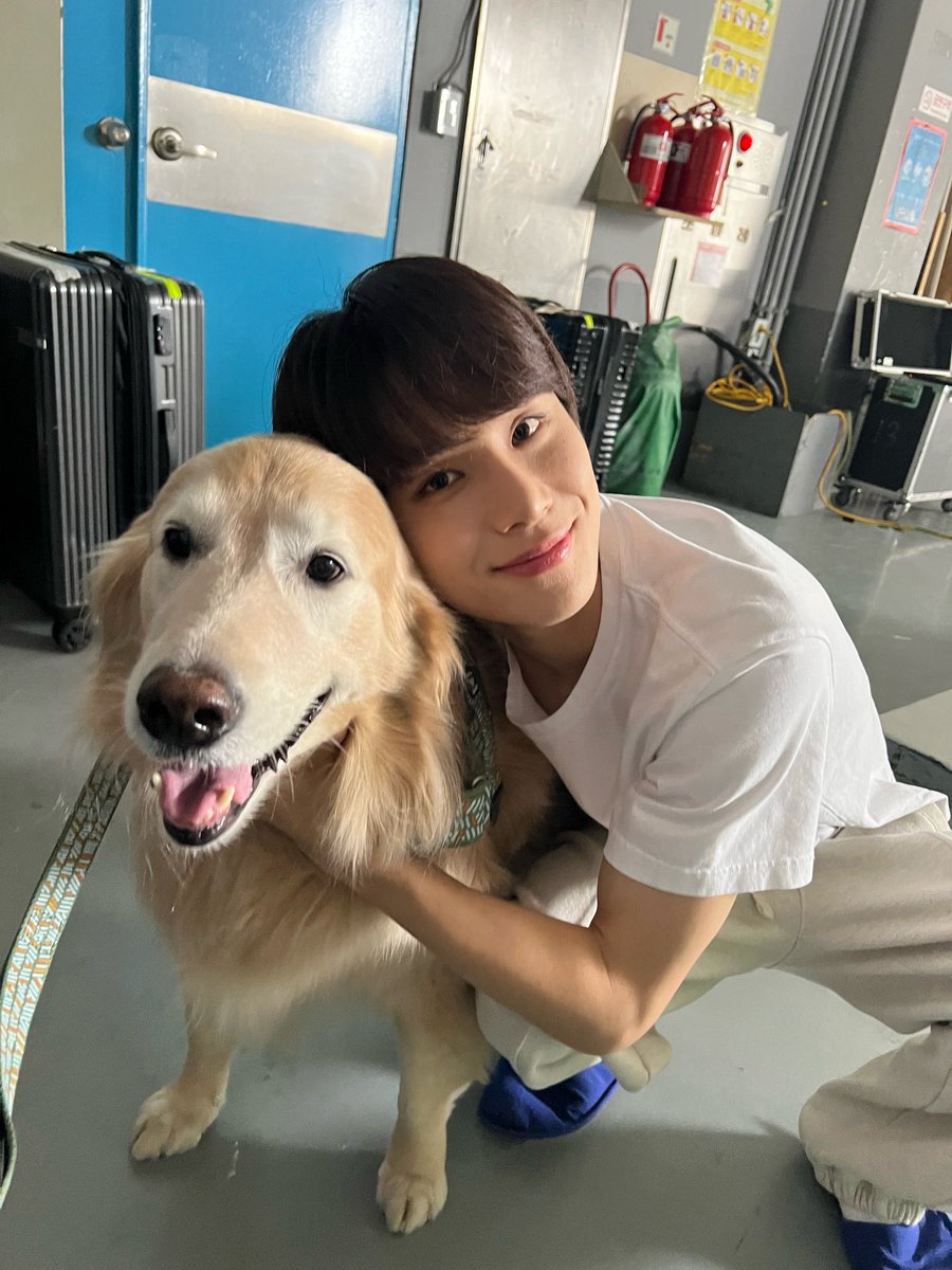 __________zw's tweet photo. 난 우리 정우때문에 매일매일이 생일같아💚
우리 강아지 축하해🍭🎂
#HAPPYJUNGWOODAY
#정우가모은_슈가링캔디_스물여섯알
#itsJUNGVELYday https://t.co/CfIP6QikaX