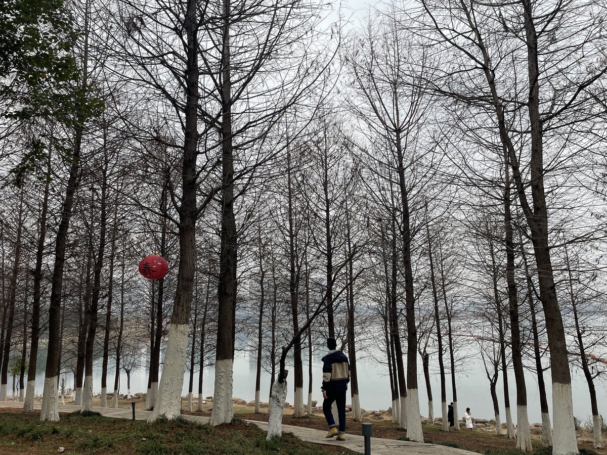 我在河边吹风 tweet media