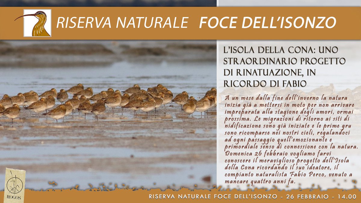 FoceIsonzo's tweet photo. Domenica 26 febbraio vogliamo farvi conoscere il meraviglioso progetto dell'Isola della Cona ricordando il suo ideatore, il compianto naturalista Fabio Perco, venuto a mancare quattro anni fa

Info➡️https://t.co/F2CtORQV2f https://t.co/5M8rQevd99