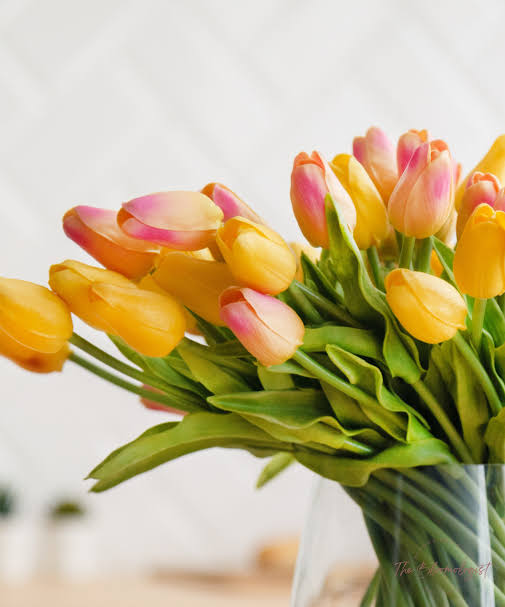 CafeEngene's tweet photo. to :: @sungjaygf

from :: jeia

Hi ate happy valentines day! https://t.co/lTc4B0gyRS