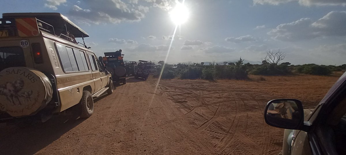 Same as tge last time here at #kanderi #tsavo East. Tour companies off the Road surrounding #lions. Getting out of control <a href="/kwskenya/">Kenya Wildlife Service</a>
