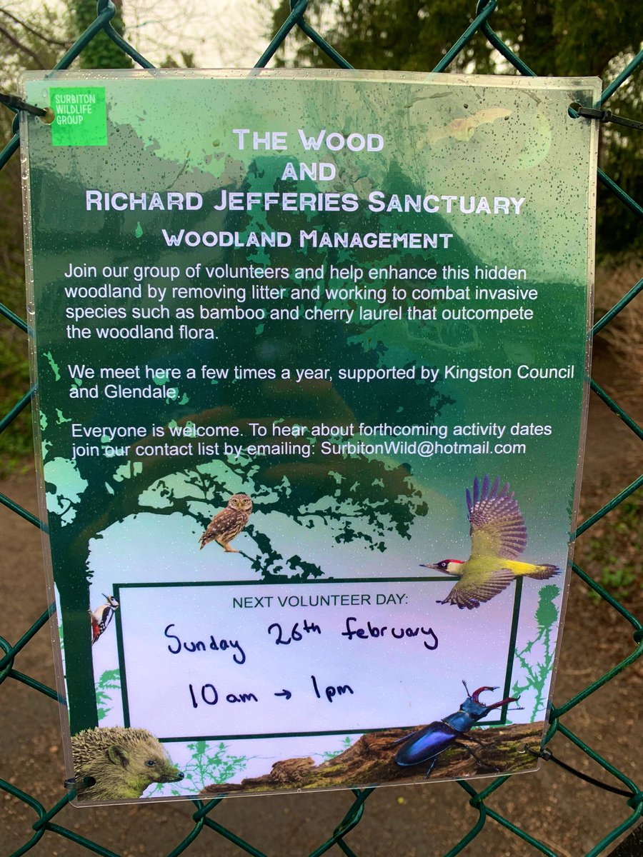 Next Sunday join as back at the Wood in Surbiton (26th of February) for a volunteer day! It promises to be a great day, where you can learn about woodland management and the history of the area! <a href="/Surb_WL/">SURBITON WILDLIFE</a> <a href="/RBKingston/">Kingston Council</a> 

Sign up here: 

eventbrite.co.uk/e/the-wood-and…