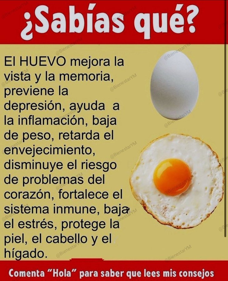 ✨🍉🌱☀️Tip Salud☀️🌱🍉✨

Beneficios del Huevo.

🌟Gracias por darle al Corazón❤️, por el Retweet🔄 y por regalarme un Hola en comentarios🌟