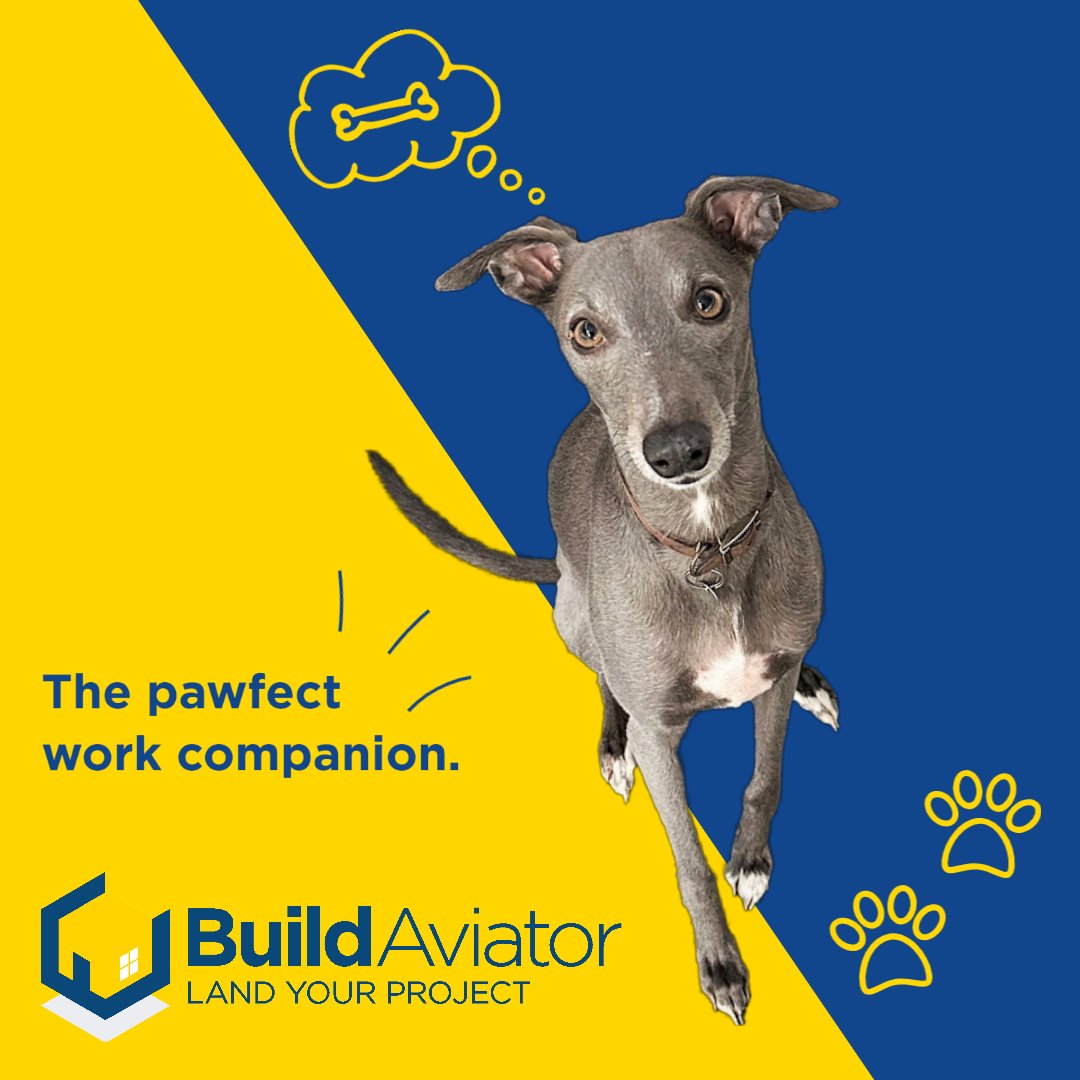 Taking pets to work is becoming more and more popular. Have you ever taken your pet to the office or to site? Use the hashtag #BApets and tag us so we can see your pets!
Upload your project now: buildaviator.co.uk

#architecture #homedecor #homedesign #construction