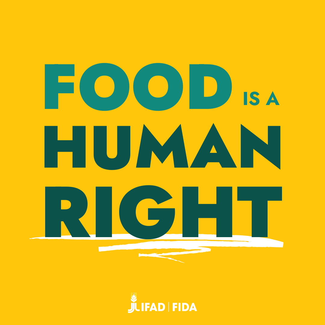Having access to nutritious, adequate and affordable food 𝘀𝗵𝗼𝘂𝗹𝗱 𝗻𝗼𝘁 𝗯𝗲 𝗮 𝗽𝗿𝗶𝘃𝗶𝗹𝗲𝗴𝗲.