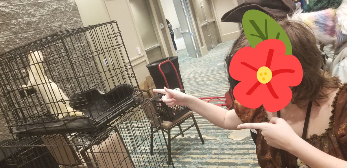 milkwastedd's tweet photo. Megaplex 2022 was my very first con and one of the best cons! (Comparing it to anime cons) I had soo much fun and im so excited to go again in 2023!
#megaplex2022 #mplex2022 #MP2022 #LoveMP2023 #LoveMP @MegaplexCon https://t.co/tRFcwZHAH6