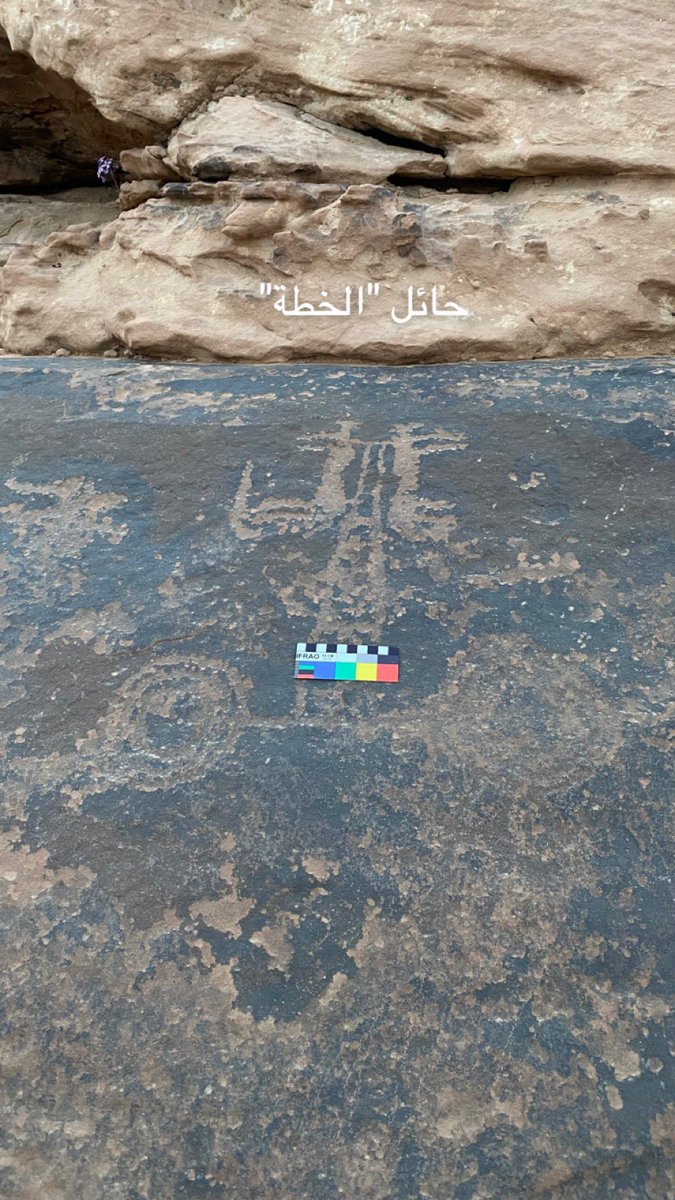 محمد العوني - 𐩣𐩢𐩣𐩵 | 𐩱𐩡𐩲𐩥𐩬𐩺 . tweet media