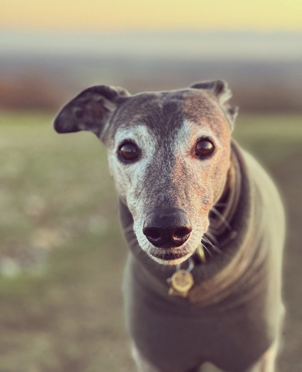 The 13 year old and I walked up a hill. This is her at the top of it.