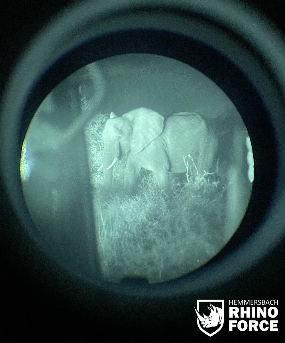 Our squads are night patrolling our reserves every night of the year, with ever changing, unpredictable patterns, highly visible and in full stealth mode. We are always there - protecting our rhinos.

#hemmersbach #rhinoforce #antipoaching #directaction