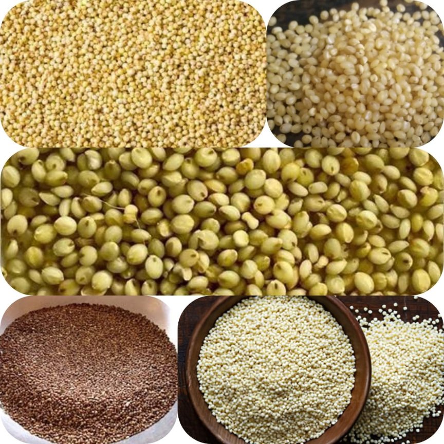 Cows_worth's tweet photo. #Cowsworth - Enjoy #Golgappe made from #Millets has iron, which most women around the globe are found deficient. It assists you in keeping your Blood Oxygenated. With #Golgappe you get magnesium, manganese, potassium, folate, zinc &amp; vitamins A, B-6, B-12, C &amp; DD @UNSCN @WFPChief https://t.co/wWJBv9gGhm