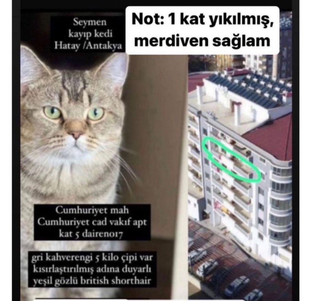 SEYMEN / EVDE MAHSUR, AÇ SUSUZ!
KİMSE KURTARMAK İÇİN GİTMEDİ. DAHA FAZLA BEKLEYEMEZ!
HATAY / ANTAKYA
VİNÇ LAZIM
Cumhuriyet mah Cumhuriyet cad vakıf apt kat 5 daire 17
05360717380
gri kahverengi,çipi var adına duyarlı yeşil gözlü Yemekle çağrılırsa koşarak gelir.
<a href="/btc_int/">Breaking The Chains - International</a> 🆘