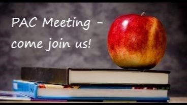 Please join our online PAC meeting on Tuesday,  Feb 21 at 6 pm. Link in the school's weekly email.