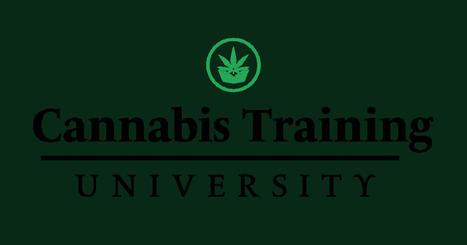 Follow @CannabisTU  #CannabisTraining #University #CannabisCommunity 
sco.lt/6ajifA