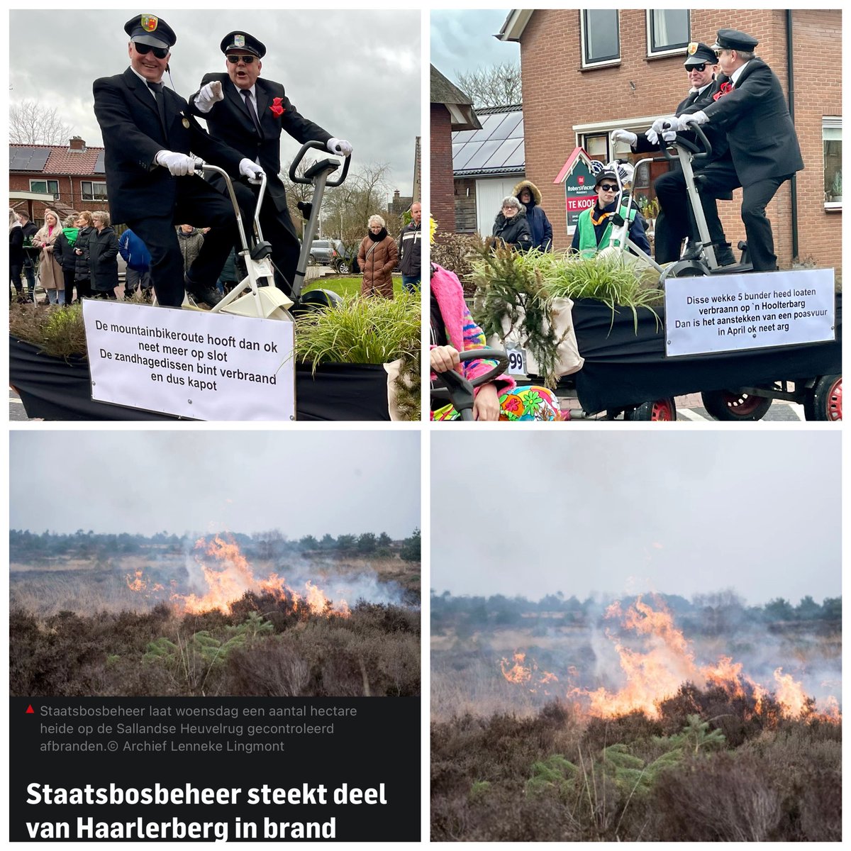 Theo de Rooij tweet media