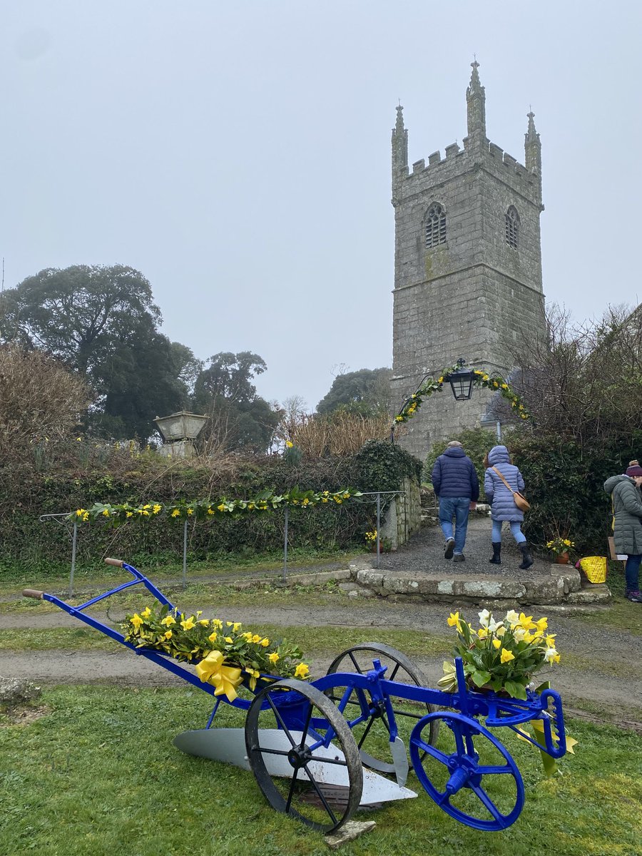 Apparently there are 10,000 daffs on display in Mawgan church this weekend #Cornwall