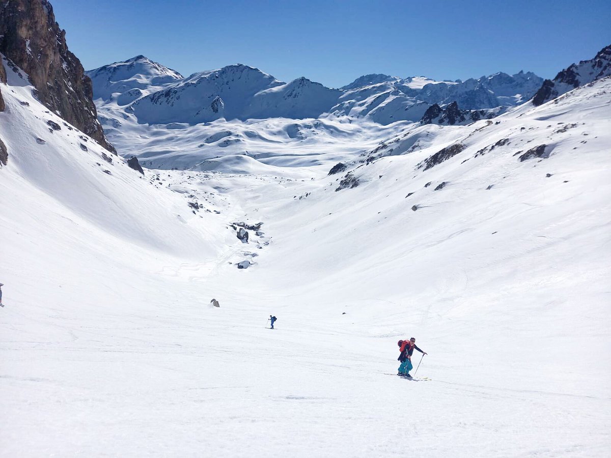 Al Powell tweet media