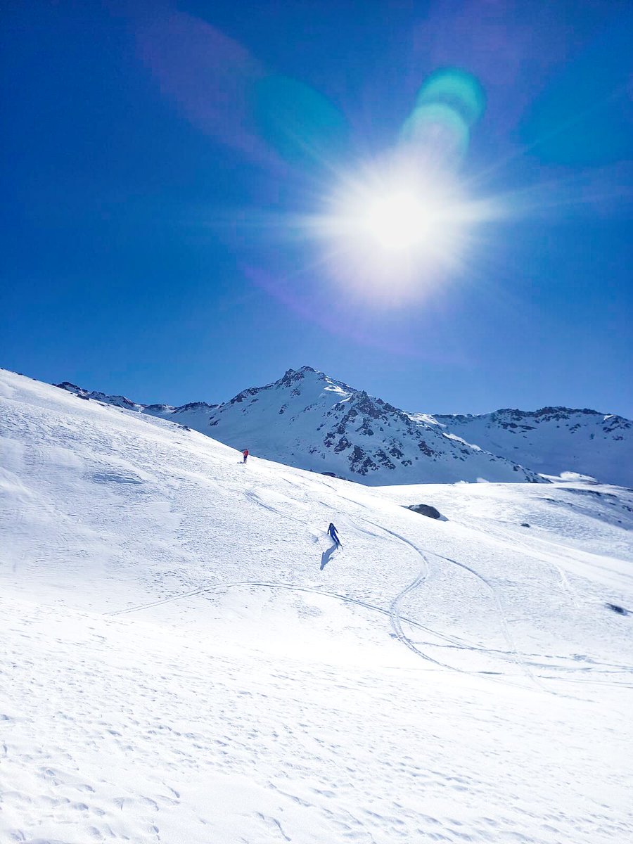 Al Powell tweet media