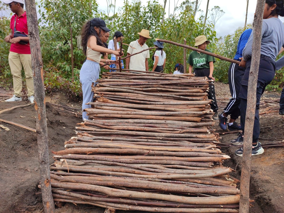 ForesTIA / ESSA-Forêts tweet media