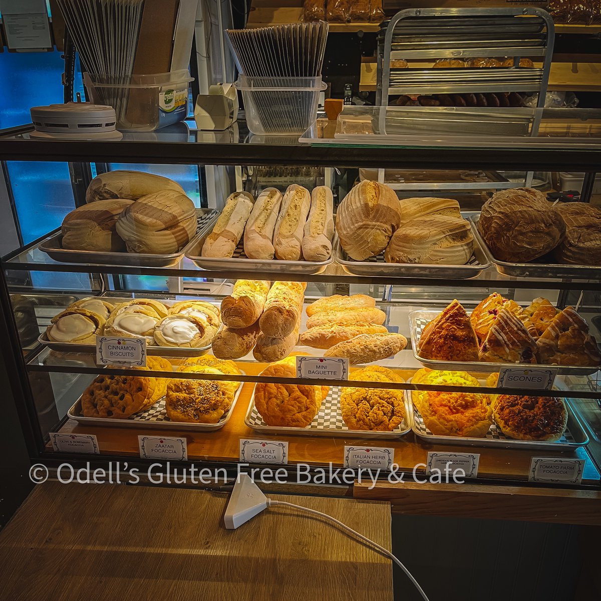 OdellsGF's tweet photo. Look how great our pastry case looks
#GlutenFree #Odellsgf #Halifax #HRM #HalifaxNoiseFood #Novascotia #Bakery https://t.co/rlLY5IuFm0