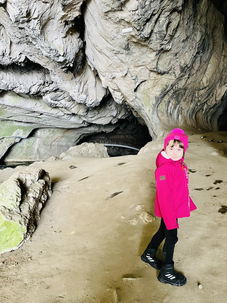 AndraTimandi's tweet photo. Maya enjoyed her holiday very much! We went to the mountains, visited caves, castles, saw the bisons and lots more…. She also made a new friend - Soare - one of grandma’s chicken😅 @WCPSc2028 https://t.co/s5Kpllj21x