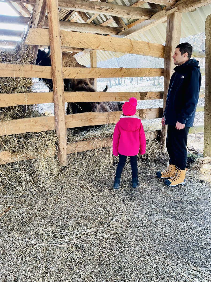 AndraTimandi's tweet photo. Maya enjoyed her holiday very much! We went to the mountains, visited caves, castles, saw the bisons and lots more…. She also made a new friend - Soare - one of grandma’s chicken😅 @WCPSc2028 https://t.co/s5Kpllj21x