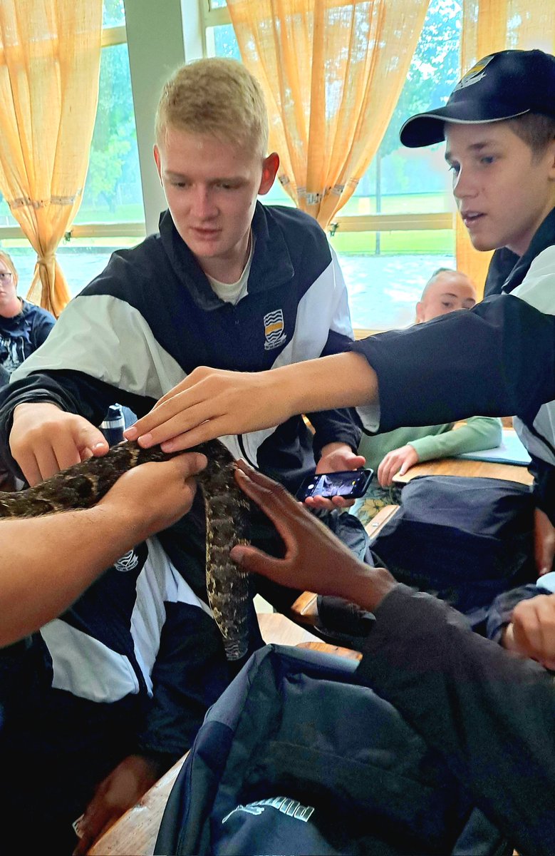 jeppeboys's tweet photo. Marimba band at the regatta; theater bootcamp; debating competition; and wildlife club snake demo (yes that is a puff adder), along with the pipe band solos were a few of the other activities on offer today. https://t.co/J1OSWIPz2e