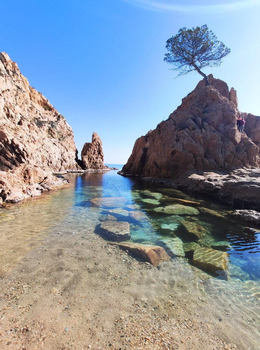 La banyera de ses dones minvada i sense sorra 😳 a Tossa.