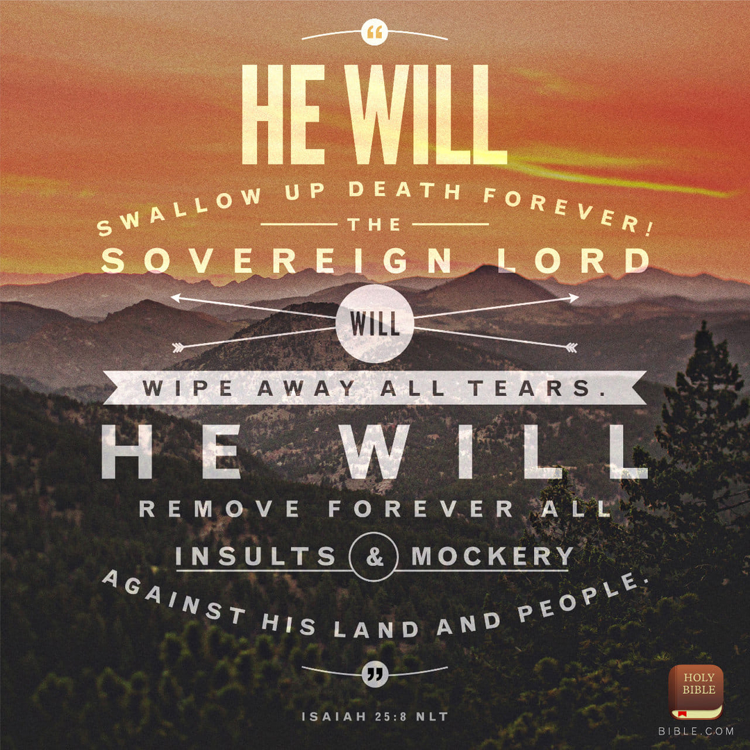 FaithLaunchpad's tweet photo. The Bible is a constant source of hope and encouragement for me. Whether I'm feeling overwhelmed, unsure of the future, or just in need of some guidance, I know that I can turn to God's Word for the support and strength that I need. No matter what challenges I may be facing, I am https://t.co/XmySgFz4z0