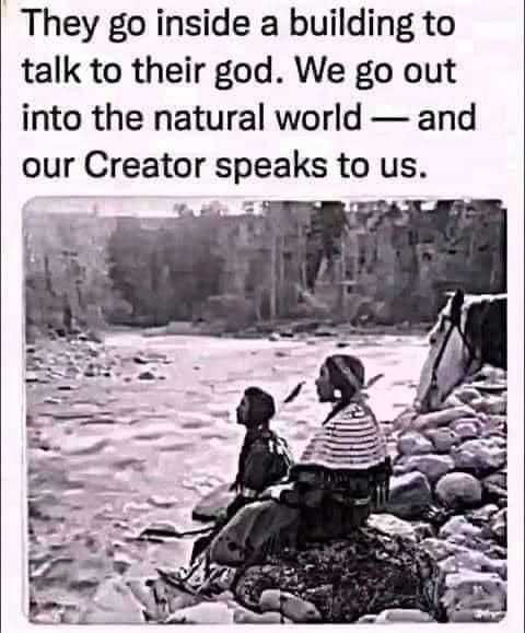 Indigenous tweet media