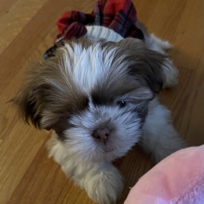 Friebs's tweet photo. #NewProfilePic https://t.co/Ad1ZTvrvDh