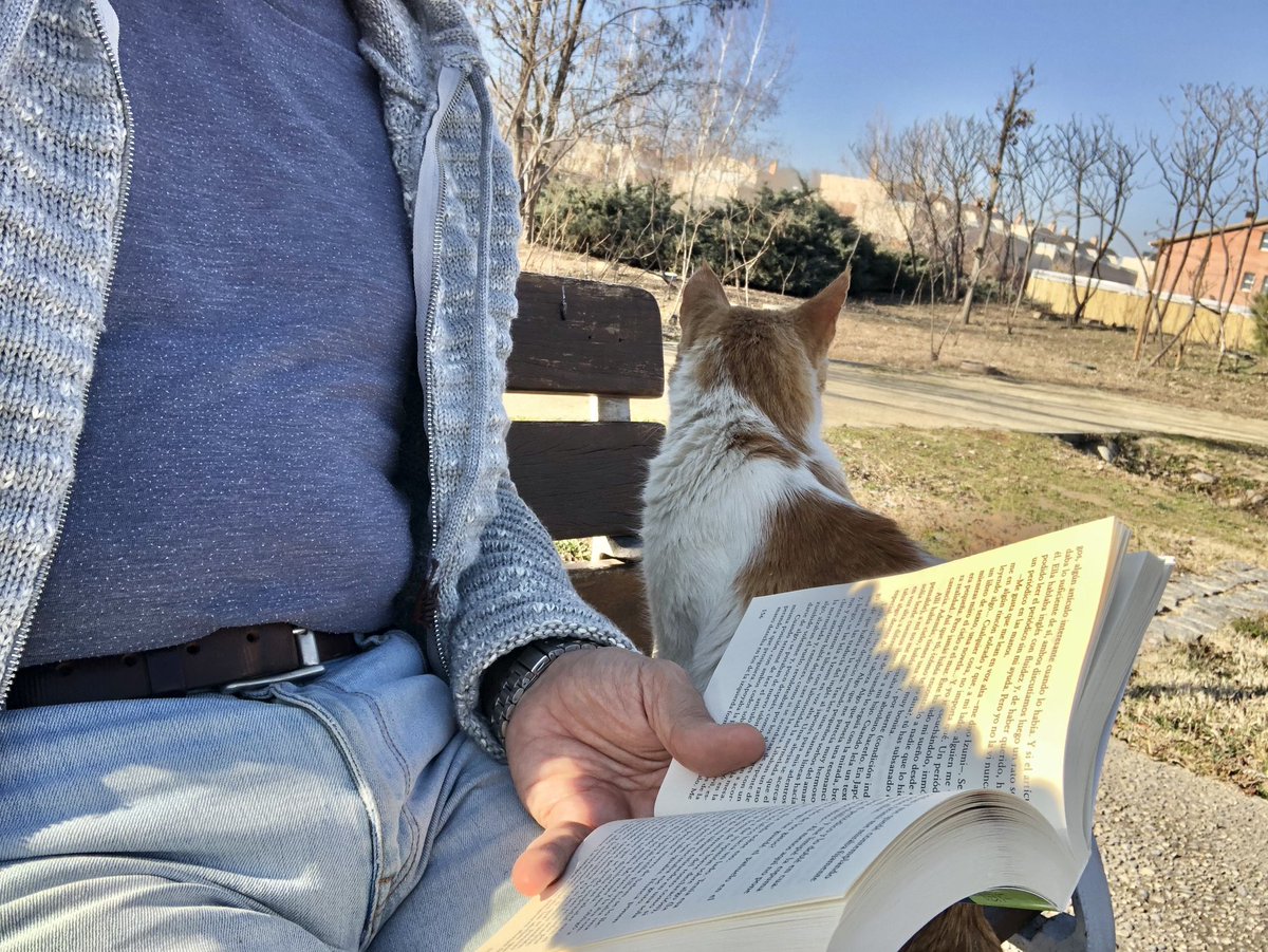alfapla1's tweet photo. Em poso a llegir i el gatet de sempre de l’@CiutatJardiArb em ve a fer companyia.
#ReadingCat #GatLector https://t.co/jispzQj9T6