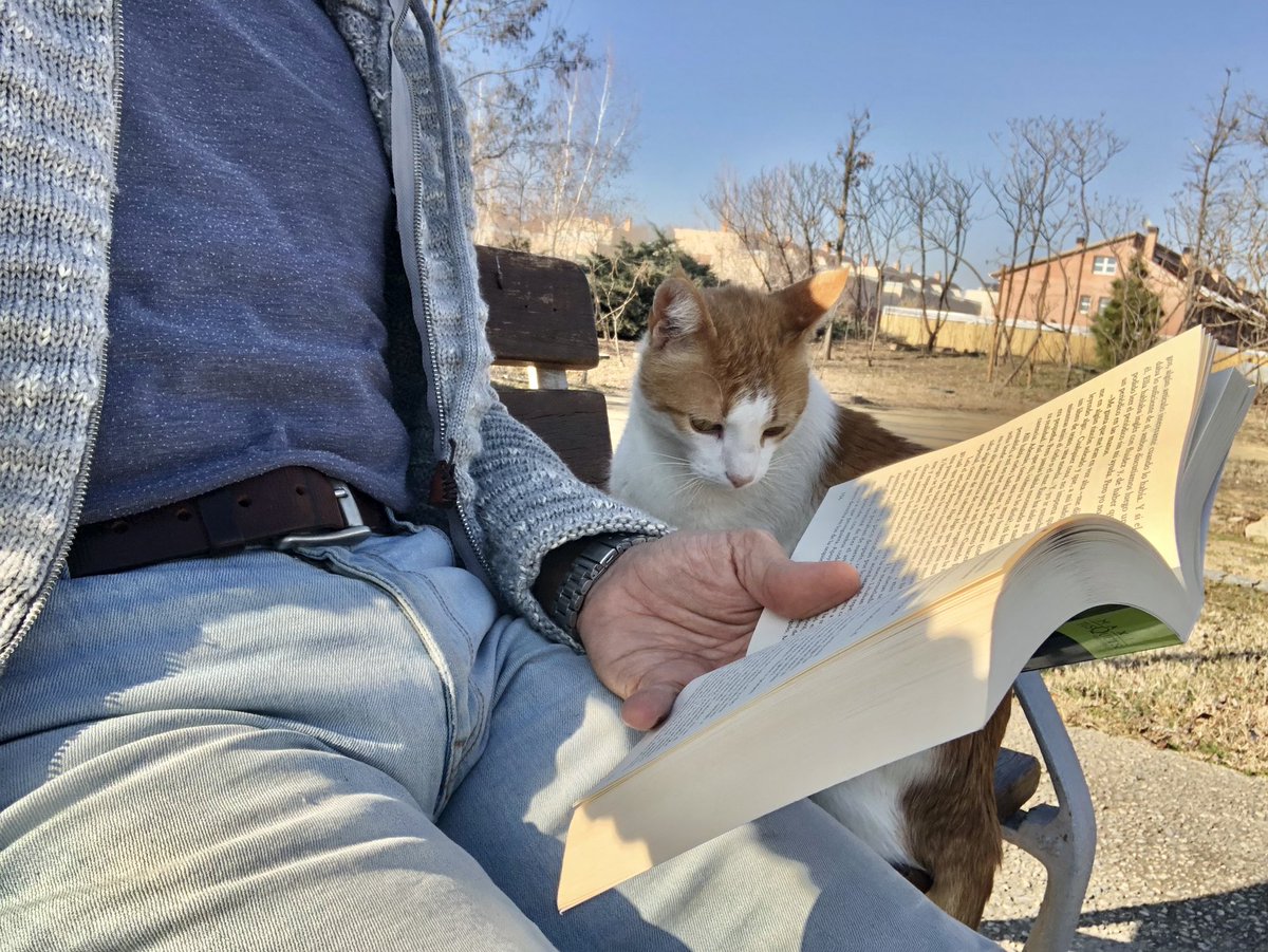 alfapla1's tweet photo. Em poso a llegir i el gatet de sempre de l’@CiutatJardiArb em ve a fer companyia.
#ReadingCat #GatLector https://t.co/jispzQj9T6