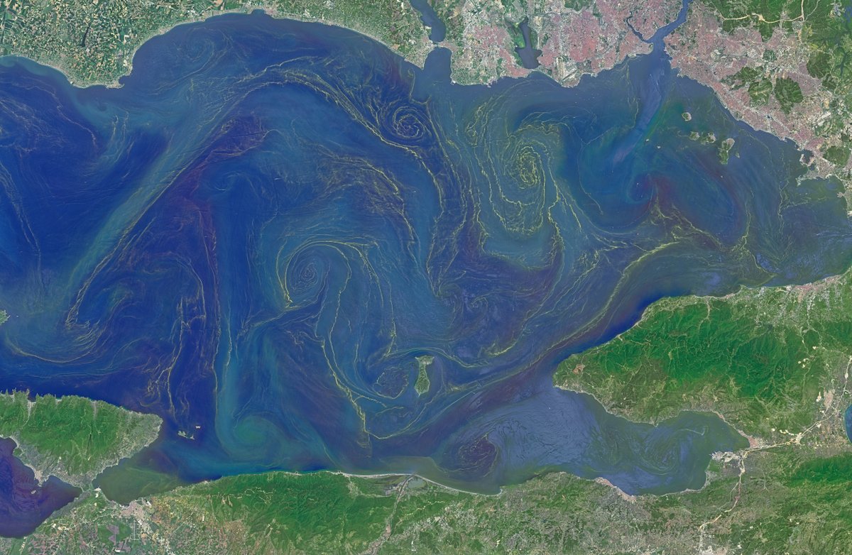 NASA Earth tweet media