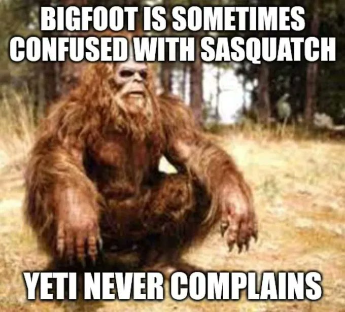 DCSC Inc. tweet media