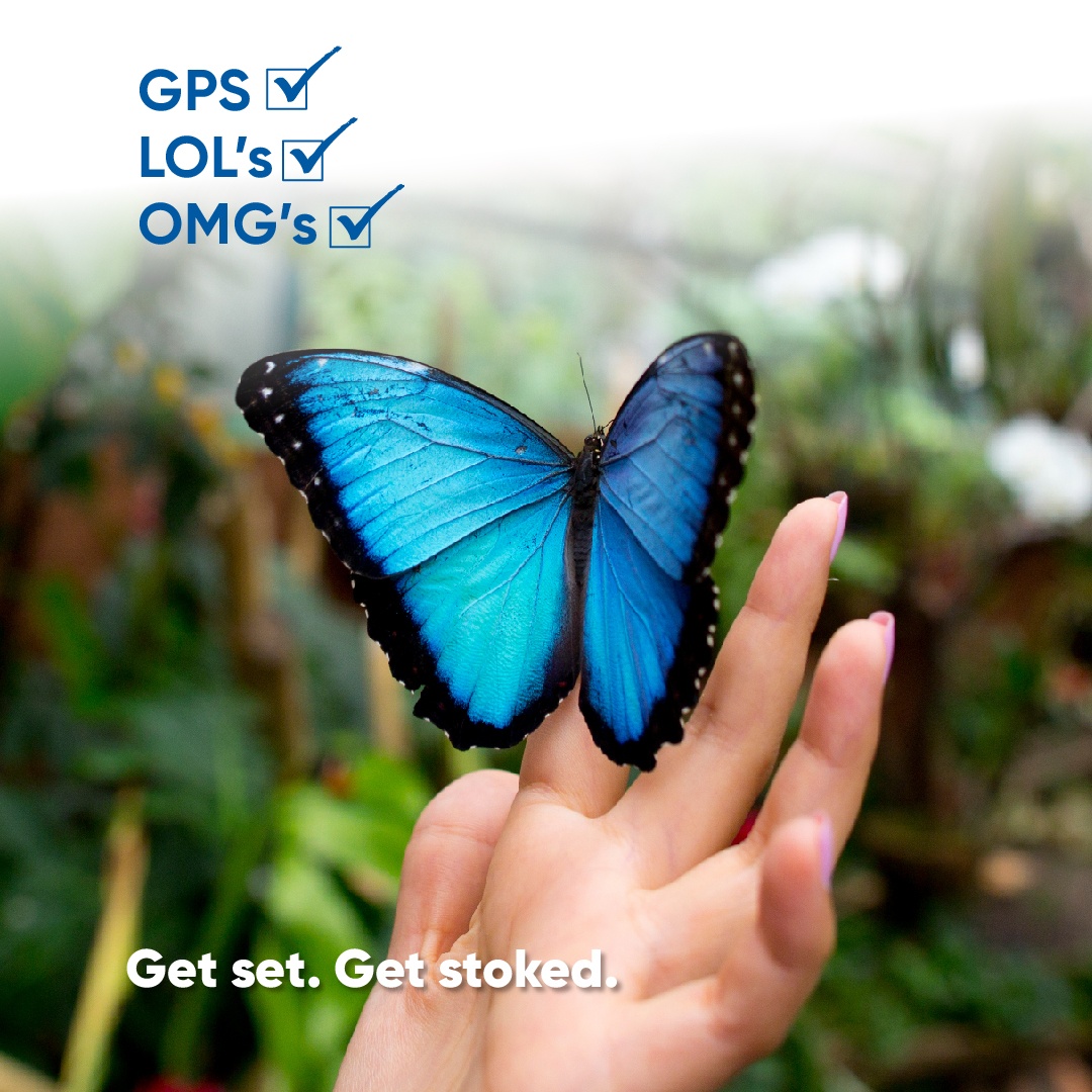 ExploreWR's tweet photo. Don’t worry about having to plan a #FamilyDayWeekend #RoadTrip, because we’ve already got your itinerary all worked out. From the #ButterflyConservatory to a specialty crepe breakfast, you’ll find it all at https://t.co/fjV773KH28
#ExploreWR #WaterlooRegion #GetSetGetStoked https://t.co/kq6SDDHoZb