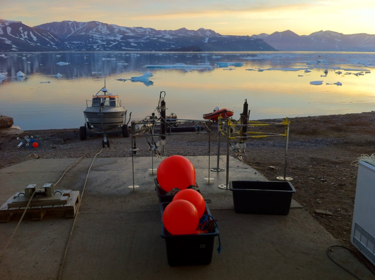 Karl Attard tweet media