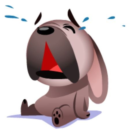 cctaquito! tweet media