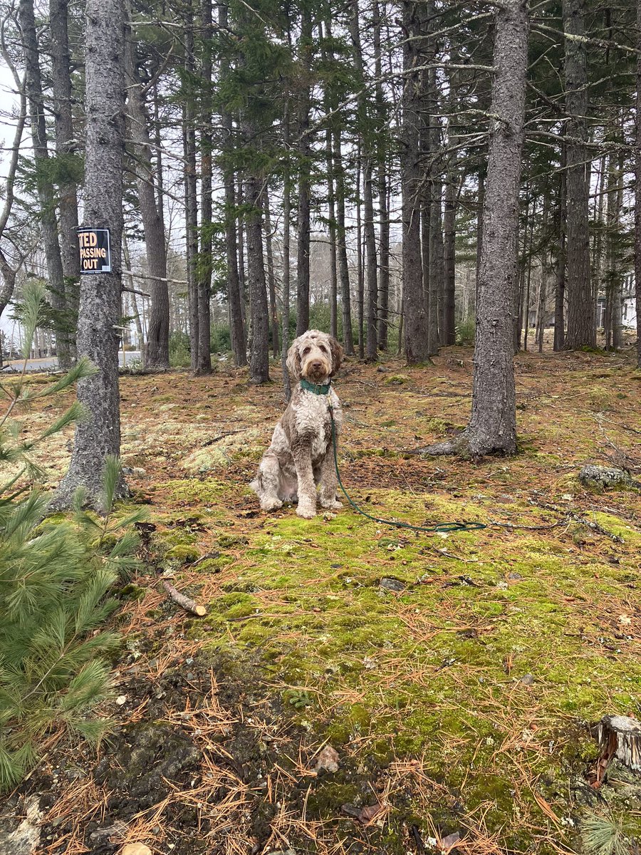 Dr.KaczorowskiLab tweet media