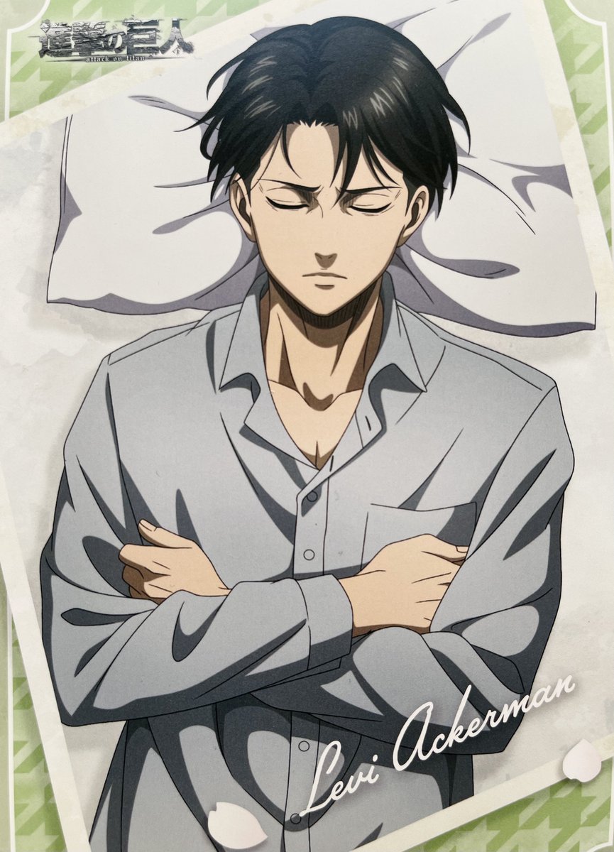 levi archives tweet media