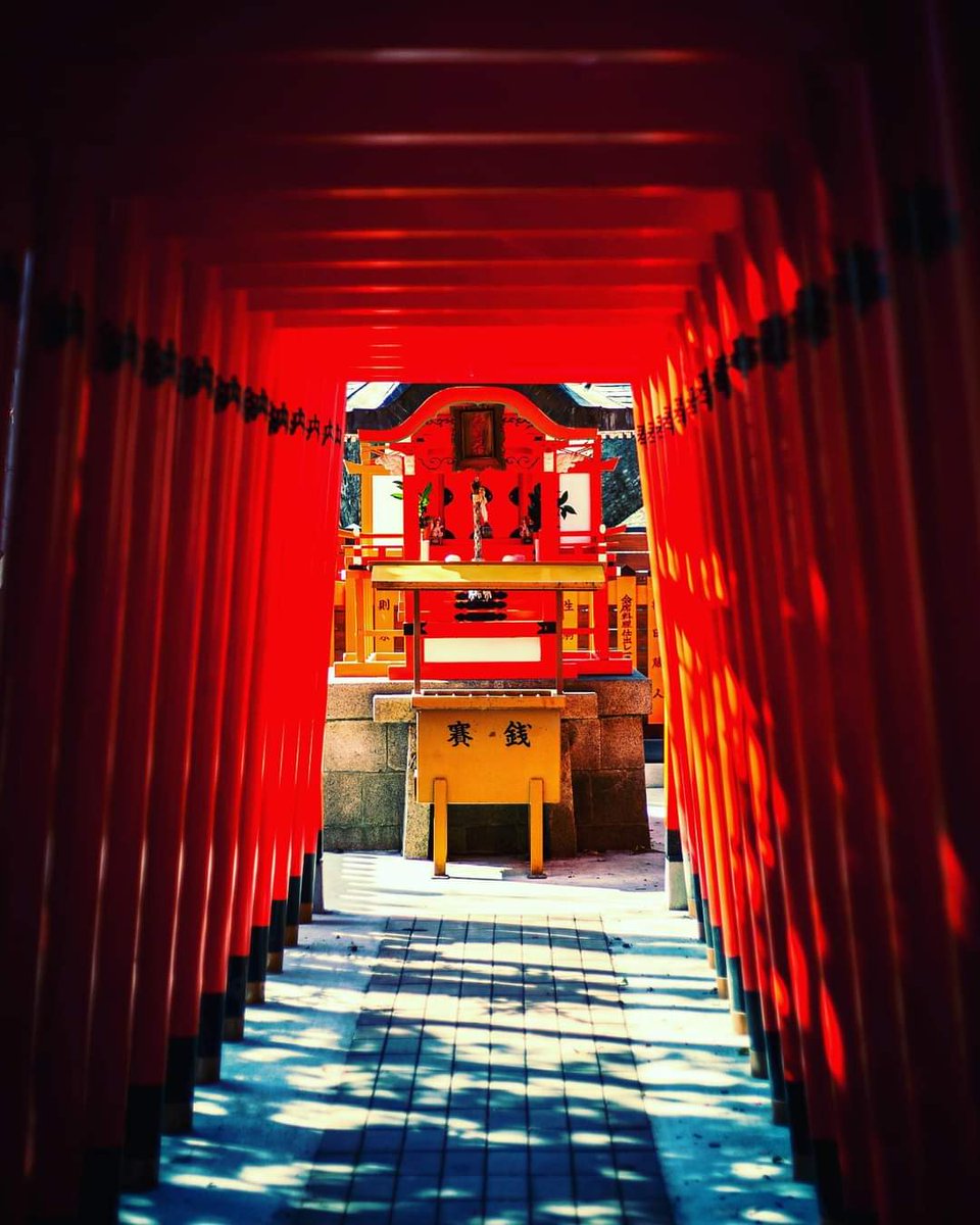 お参りされた方が撮影された写真です。
光と影が良し。
m.facebook.com/story.php?stor…