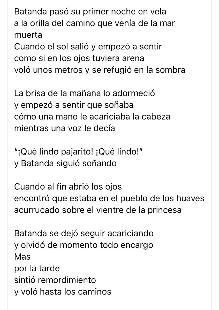 Ana Palacios tweet media