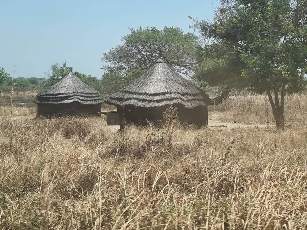 UNFPA South Sudan tweet media